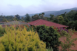 Chiguru Homestay