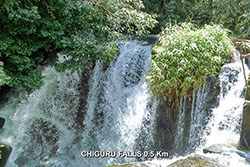 Chiguru Homestay